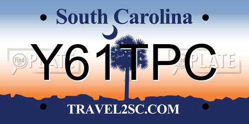Y61TPC South Carolina License Plate