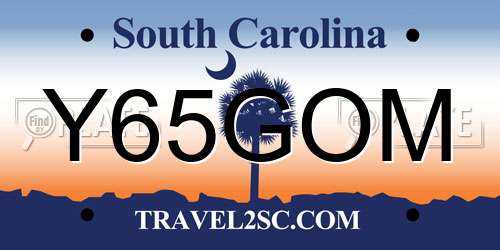 Y65GOM South Carolina License Plate