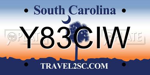 Y83CIW South Carolina License Plate