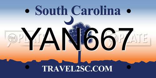 YAN667 South Carolina License Plate
