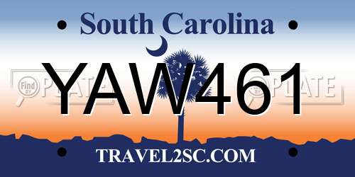 YAW461 South Carolina License Plate
