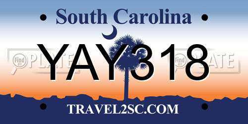 YAY318 South Carolina License Plate