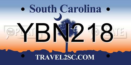 YBN218 South Carolina License Plate