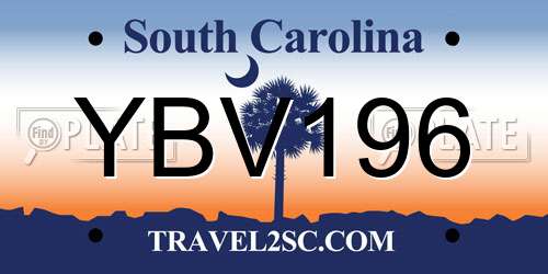 YBV196 South Carolina License Plate