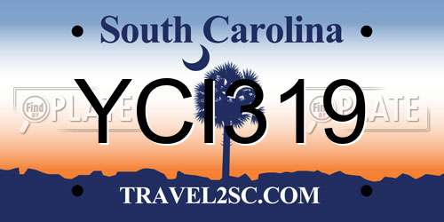 YCI319 South Carolina License Plate