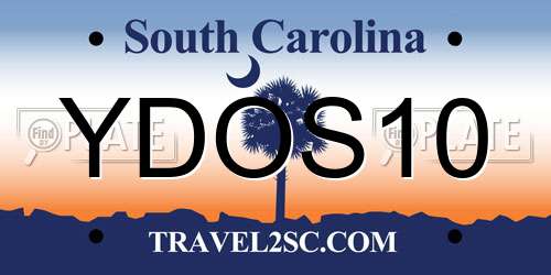 YDOS10 South Carolina License Plate