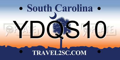 YDQS10 South Carolina License Plate