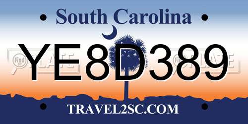 YE8D389 South Carolina License Plate
