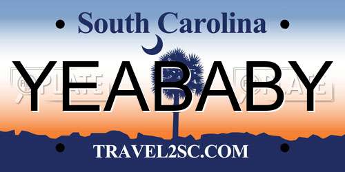 YEABABY South Carolina License Plate