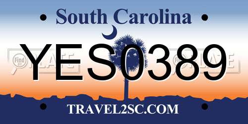 YES0389 South Carolina License Plate