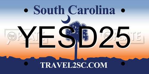 YESD25 South Carolina License Plate