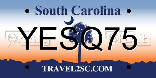 YESQ75 South Carolina License Plate