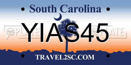 YIAS45 South Carolina License Plate