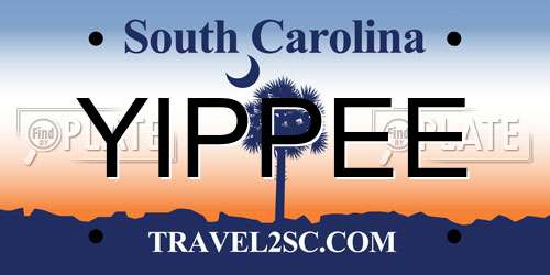 YIPPEE South Carolina License Plate