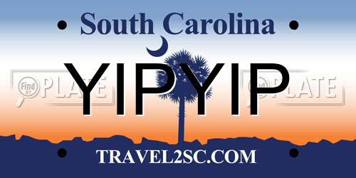 YIPYIP South Carolina License Plate