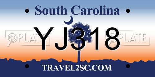 YJ318 South Carolina License Plate