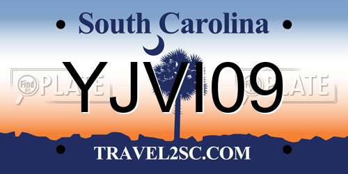 YJVI09 South Carolina License Plate