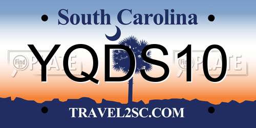 YQDS10 South Carolina License Plate