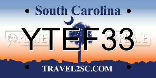 YTEF33 South Carolina License Plate