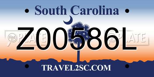 Z00586L South Carolina License Plate