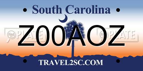 Z00AOZ South Carolina License Plate