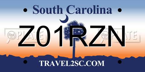 Z01RZN South Carolina License Plate