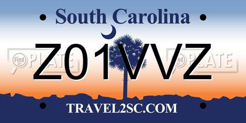 Z01VVZ South Carolina License Plate