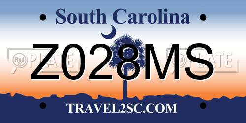 Z028MS South Carolina License Plate