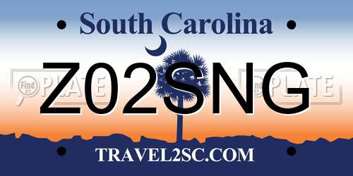 Z02SNG South Carolina License Plate