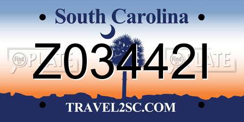 Z03442I South Carolina License Plate