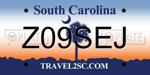 Z09SEJ South Carolina License Plate