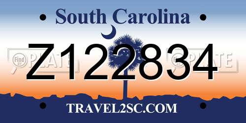 Z122834 South Carolina License Plate