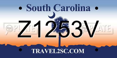 Z1253V South Carolina License Plate
