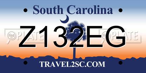 Z132EG South Carolina License Plate
