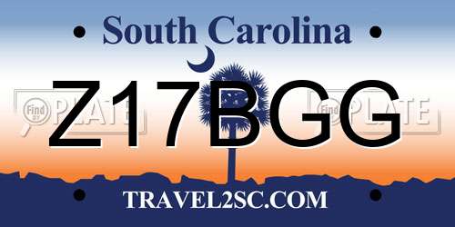 Z17BGG South Carolina License Plate