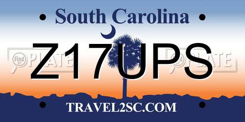 Z17UPS South Carolina License Plate