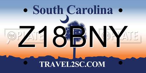 Z18BNY South Carolina License Plate