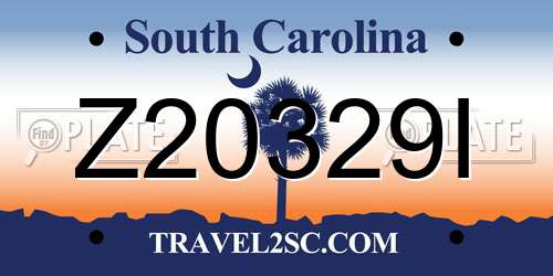 Z20329I South Carolina License Plate