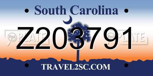 Z203791 South Carolina License Plate