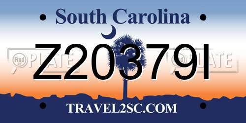 Z20379I South Carolina License Plate