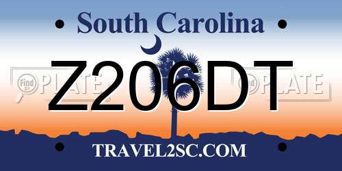 Z206DT South Carolina License Plate