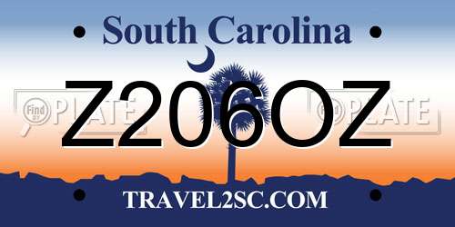Z206OZ South Carolina License Plate