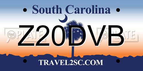 Z20DVB South Carolina License Plate