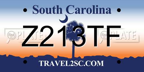 Z213TF South Carolina License Plate