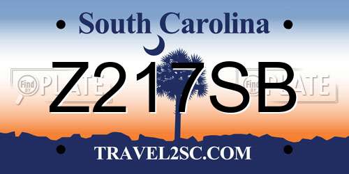 Z217SB South Carolina License Plate