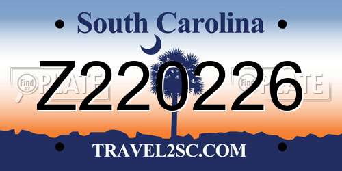 Z220226 South Carolina License Plate