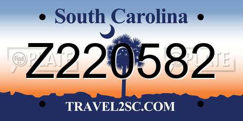 Z220582 South Carolina License Plate