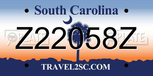 Z22058Z South Carolina License Plate