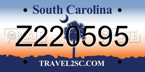 Z220595 South Carolina License Plate