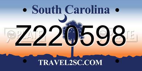 Z220598 South Carolina License Plate